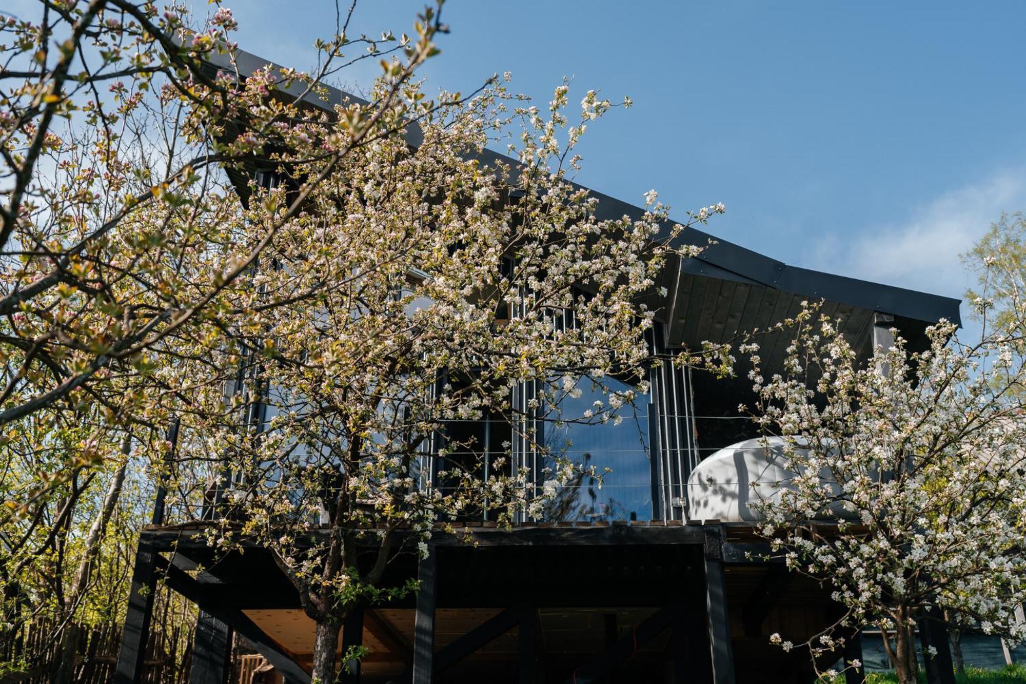 Казковий Дім Та Garden Два Будиночки В Горах З Чаном-Джакузі Slawske Exterior foto